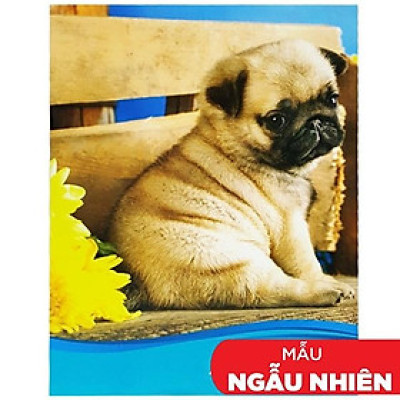 Tập 4 Ly Ngang 200 Trang ĐL 60g/m2 - FAHASA (Mẫu Màu Giao Ngẫu Nhiên)