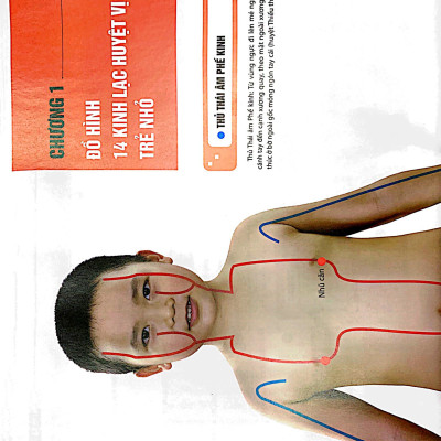 Sách - Đồ giải kinh lạc huyệt vị - Trẻ em