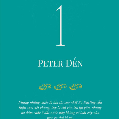 Peter Pan - Những Tranh Vẽ Tuyệt Đẹp Cùng Các Trò Chơi Tương Tác - Bìa Cứng