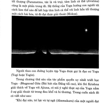 Yoga Toàn Thư