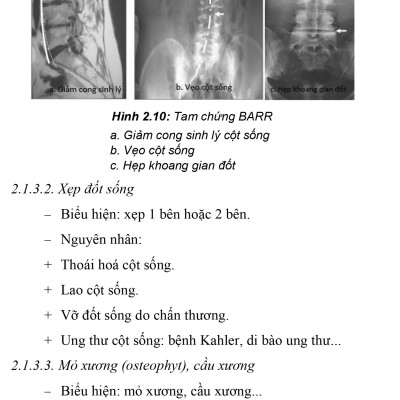 Thực Hành Lâm Sàng Thần Kinh Học - Tập 4: Chẩn Đoán Cận Lâm Sàng (Xuất bản lần thứ hai có sửa chữa, bổ sung)