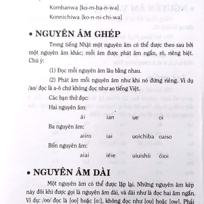Từ Điển Nhật Việt (Bìa Cứng)