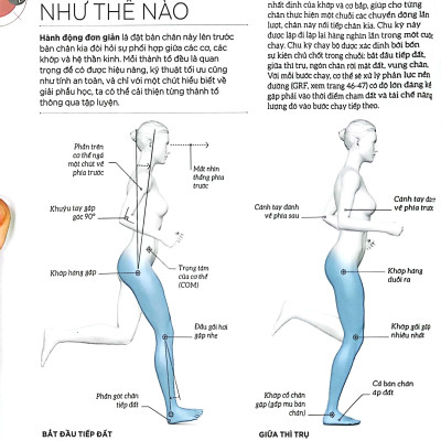 Khoa Học Về Chạy Bộ - Phân Tích Kỹ Thuật, Phòng Ngừa Chấn Thương, Đổi Mới Cách Tập Luyện - Bìa Cứng