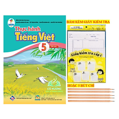 Sách - thực hành tiếng việt 5 - tập 2 (cánh diều)