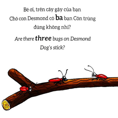 Tương Tác Lật Mở - Số Đếm - Counting