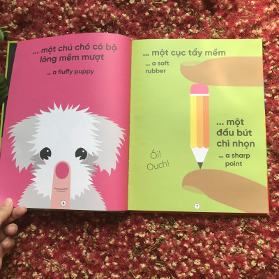 Sách Tương Tác - My Big Book Of The Five Senses - Cuốn Sách Khổng Lồ Về Năm Giác Quan