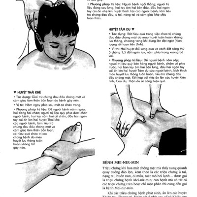 Bí Quyết Bấm Huyệt Chữa Bệnh - 	 Katsusuke Serizawa