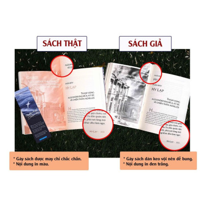 Sách Muôn Kiếp Nhân Sinh Tập 2 (Bìa Mềm) - Nguyên Phong - First News