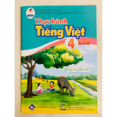 Sách - Combo Thực hành tiếng việt 4 - tập 1 + 2 ( cánh diều ) (BT)