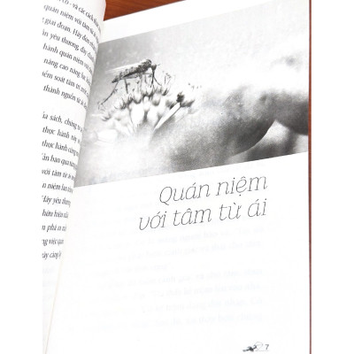 Quán Niệm Với Tâm Từ Ái