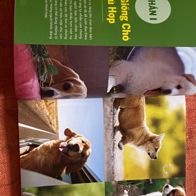 Cún cưng A đến Z - Những bí quyết giúp cún cưng khỏe mạnh và hạnh phúc