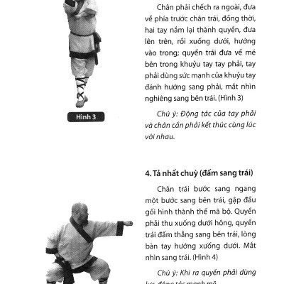 Thiếu Lâm Tự Quyền Phổ Tập 2 - Tâm Ý Môn