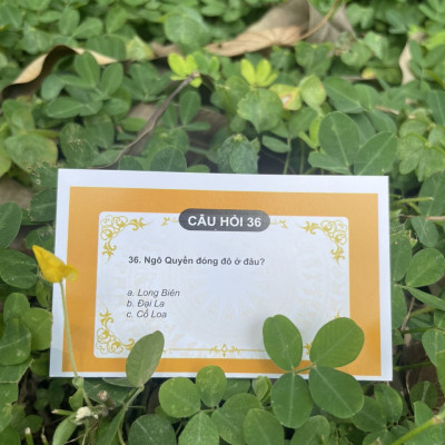 Cờ lịch sử