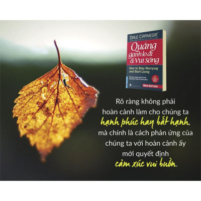 Combo Đắc nhân tâm + Quẳng gánh lo đi & vui sống - Bản Quyền