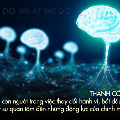 Sách Sao Ta Làm Điều Ta Làm - First News