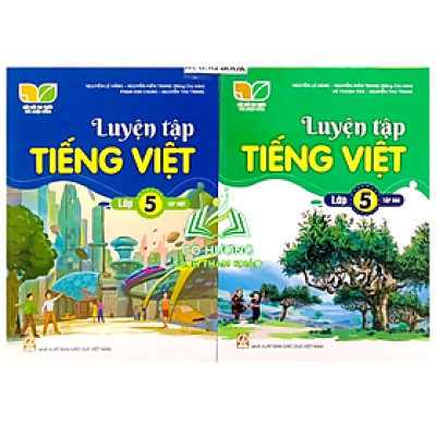 Sách - Combo Luyện tập Tiếng Việt lớp 5 - tập 1 + 2 (Kết nối tri thức với cuộc sống)