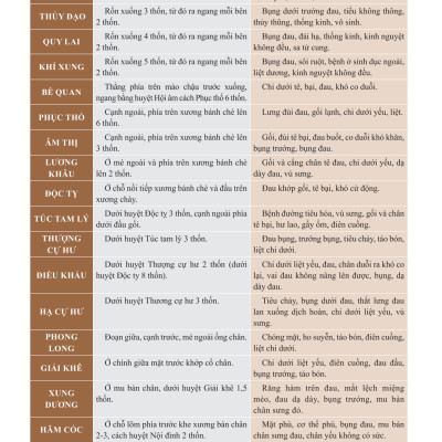 Đồ Giải Kinh Lạc Huyệt Vị Cơ Thể (Tái Bản 2023)