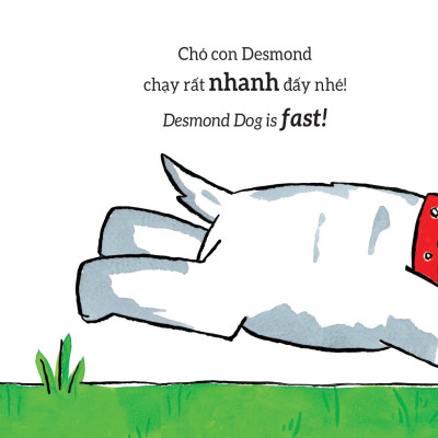 Tương Tác Lật Mở - Các Từ Trái Nghĩa - Opposites