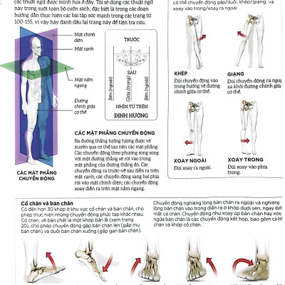 Khoa Học Về Chạy Bộ - Phân Tích Kỹ Thuật, Phòng Ngừa Chấn Thương, Đổi Mới Cách Tập Luyện - Bìa Cứng