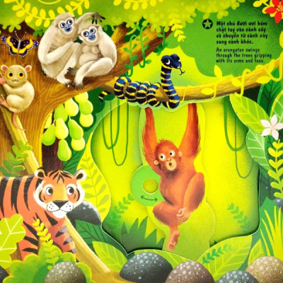 Sách Chuyển Động - First Explorers - In The Jungle - Trong Khu Rừng