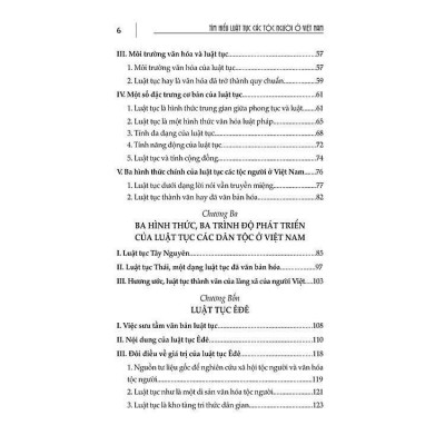 Sách - Tìm Hiểu Luật Tục Các Tộc Người Ở Việt Nam - Ngô Đức Thịnh - VIETNAMBOOK