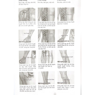 Massage Kinh Lạc Huyệt Vị Toàn Thư (Tái Bản) - Vanlangbooks