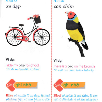 Học Tiếng Anh Bằng Hình Ảnh Lớp 1 _HA