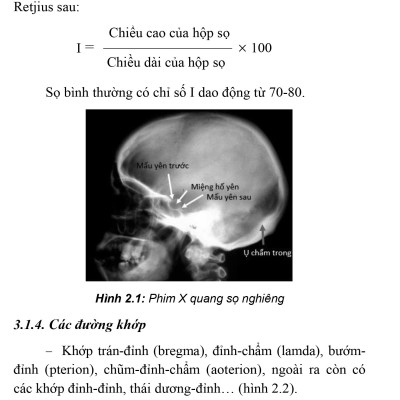 Thực Hành Lâm Sàng Thần Kinh Học - Tập 4: Chẩn Đoán Cận Lâm Sàng (Xuất bản lần thứ hai có sửa chữa, bổ sung)