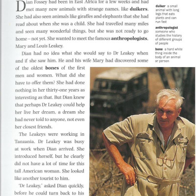 Dominoes 3 Dian and the Gorillas