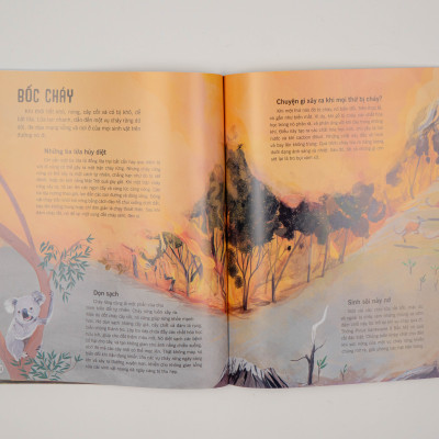Sách - Vạn vật biến đổi - Bách khoa tri thức cho trẻ từ 6 - 12 tuổi - Đinh Tị Books