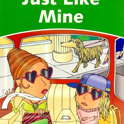 Dolphin Readers Level 3: Just Like Mine