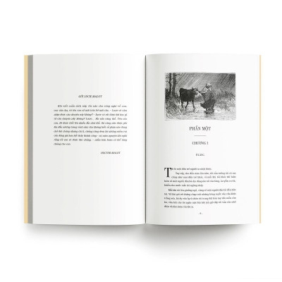 Sách - Không Gia Đình - Bìa Mềm - Đông A