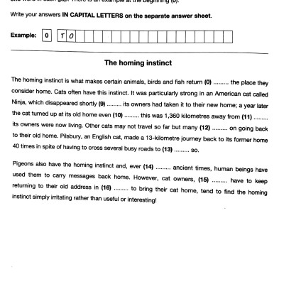 Cam English First 2 SB w Ans (FCC)