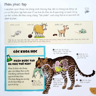 Phân Của Muôn Loài