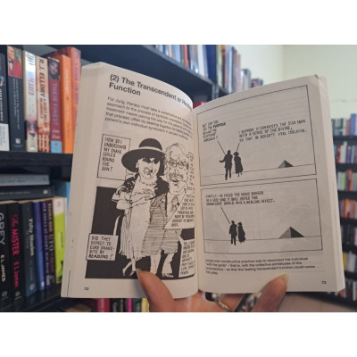 Sách - Introducing Jung A Graphic Guide by Maggie Hyde - Psychology/ Nonfiction/ Philosophy in English