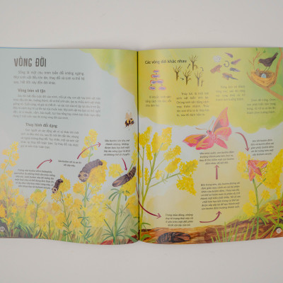 Sách - Vạn vật biến đổi - Bách khoa tri thức cho trẻ từ 6 - 12 tuổi - Đinh Tị Books