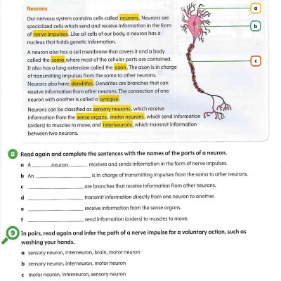 Oxford Discover Science 2nd Edition: Level 6: Student Book With Online Practice