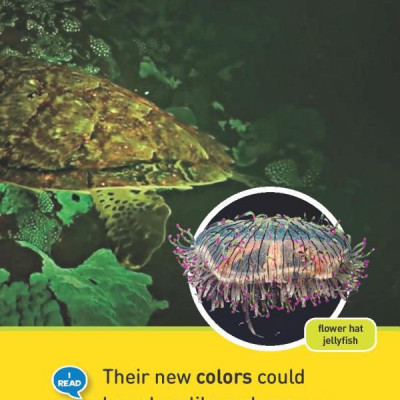 Glowing Animals (L1/Co-Reader) (National Geographic Readers)