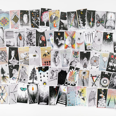 The Wild Unknown Pocket Tarot