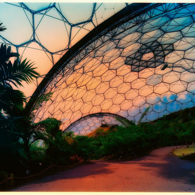 Greenhouses-Cathedrals For Plants