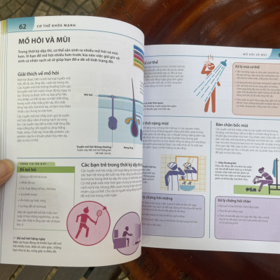 Bộ sách BÁCH KHOA THƯ VỀ PHÁT TRIỂN KỸ NĂNG – TUỔI DẬY THÌ – Tủ sách DK – Đinh Tị Books – Bìa mềm in màu toàn bộ