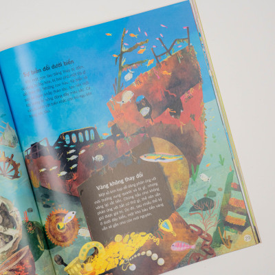 Sách - Vạn vật biến đổi - Bách khoa tri thức cho trẻ từ 6 - 12 tuổi - Đinh Tị Books