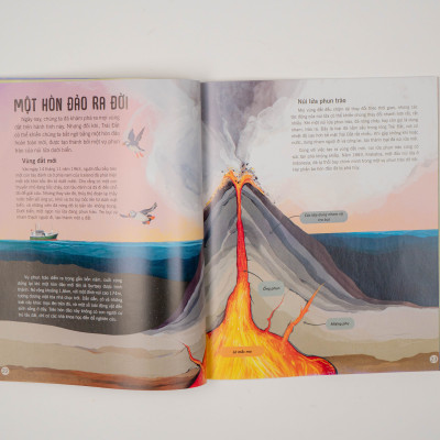 Sách - Vạn vật biến đổi - Bách khoa tri thức cho trẻ từ 6 - 12 tuổi - Đinh Tị Books