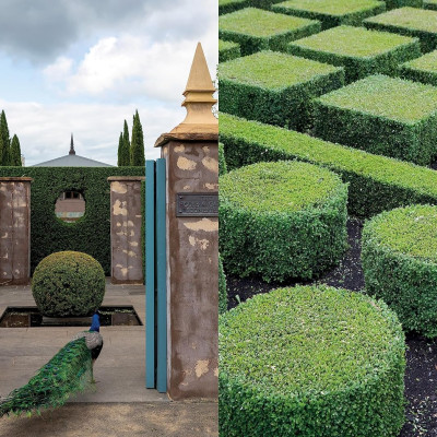 A Life In Garden Design Four Decades Of Aesthetic Influence