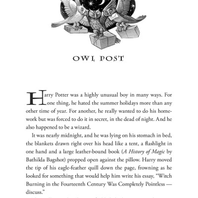 Harry Potter And The Prisoner Of Azkaban (Harry Potter và Tù nhân ngục Azkaban) (English Book)