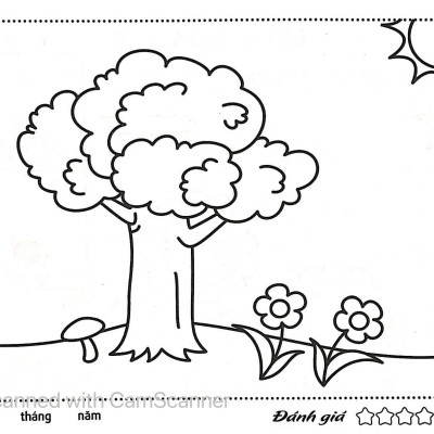 Thực Vật - Tô Màu