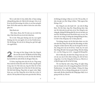 Chuyện Bí Ẩn Thường Ngày