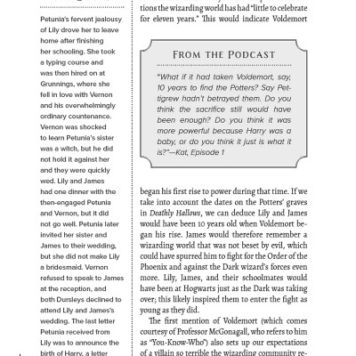 The Unofficial Harry Potter Companion Volume 1: Sorcerer