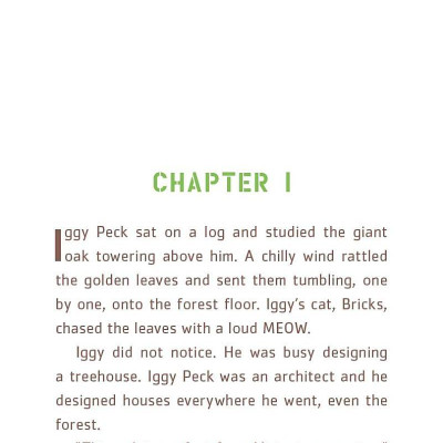 Iggy Peck And The Mysterious Mansion: The Questioneers Book #3