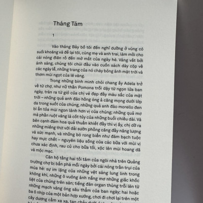NHỮNG HIỆU QUẾ - Bruno Schulz - Xuân Trường dịch – Xuất Bản Khác